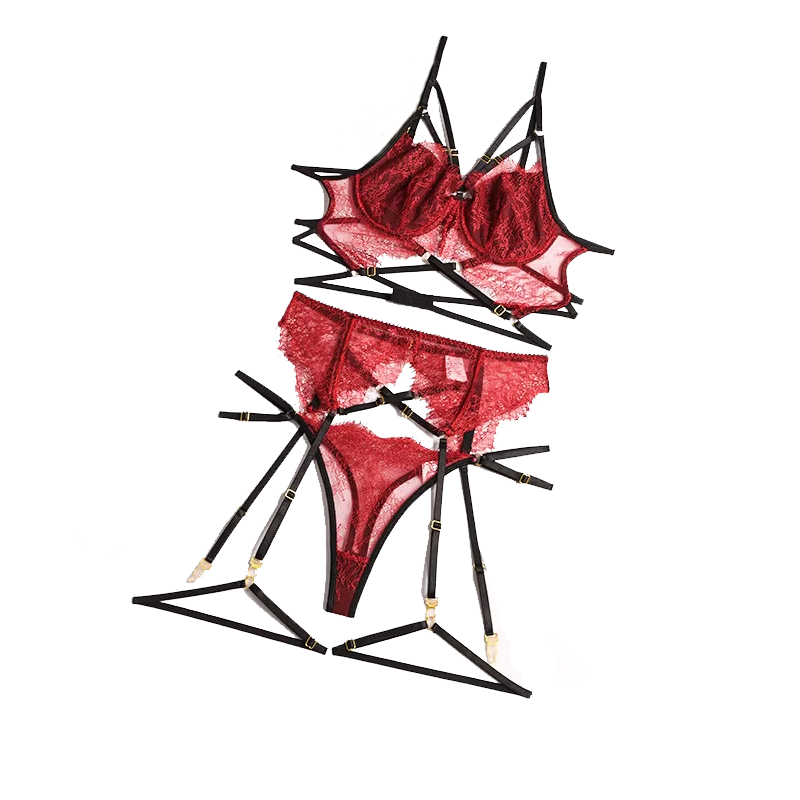 Yeni dantel seksi iç çamaşırı  - Sheer Bra Lace incelemesi ve fiyatı